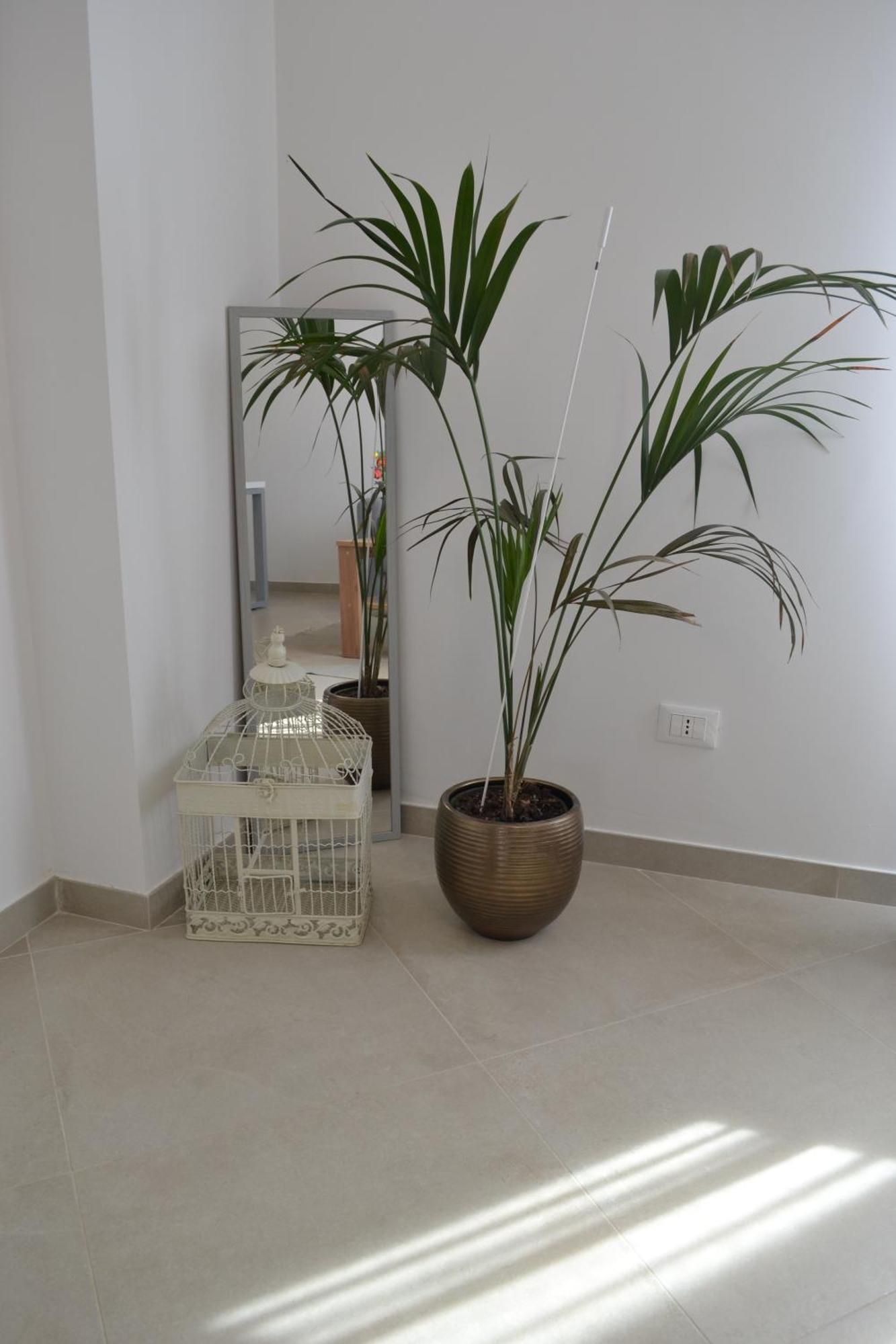 B&B Sole&Sale San Leone Exterior foto